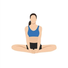 Seated Butterfly Stretch